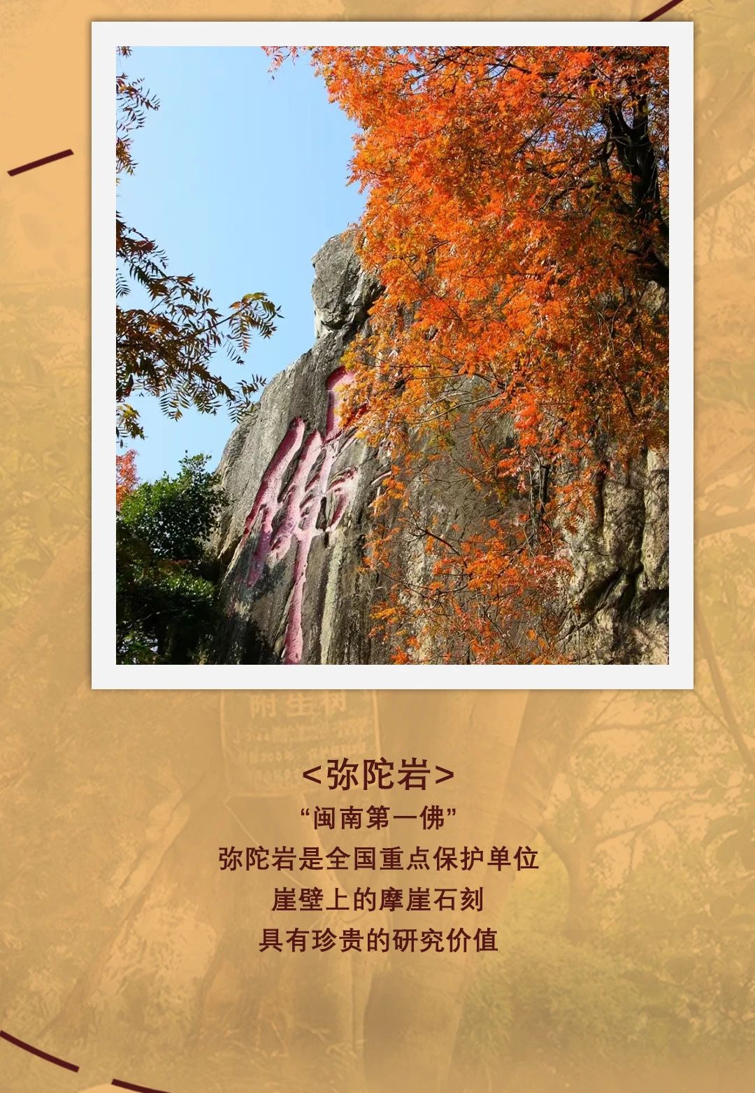 微信圖片_20240907114403.jpg