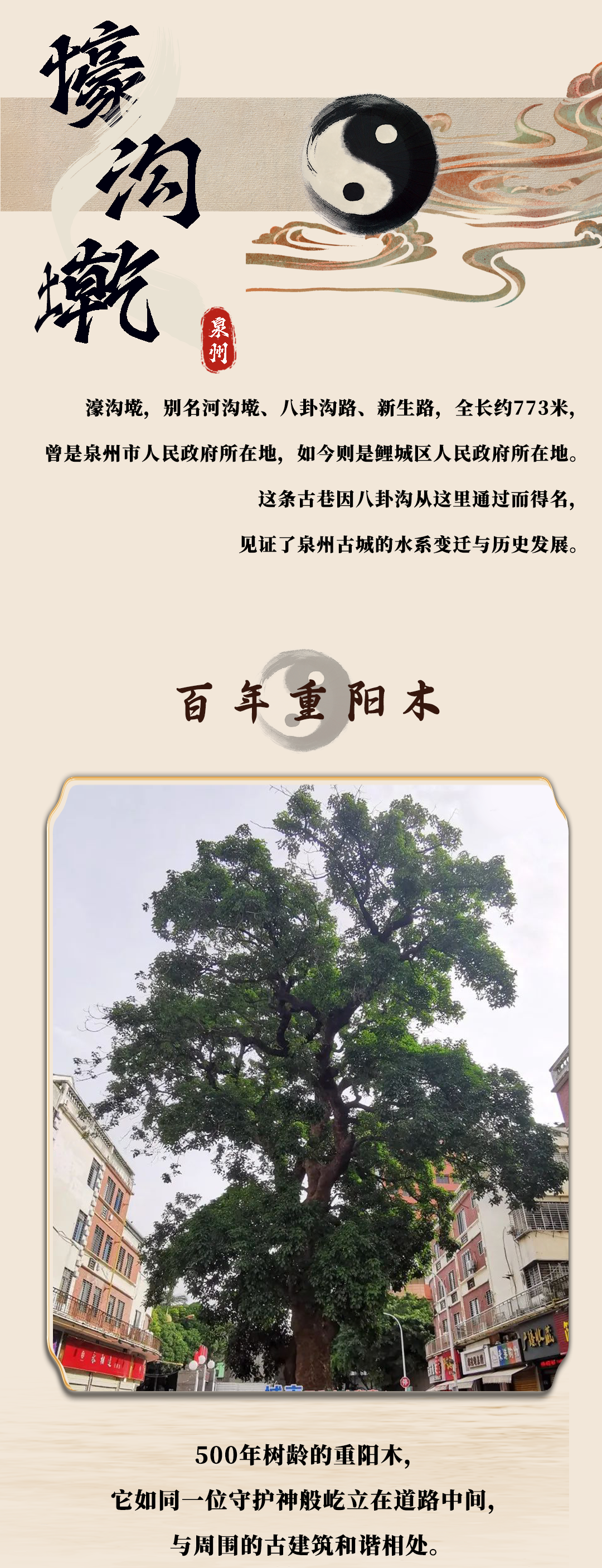 微信圖片_20241114130304.png